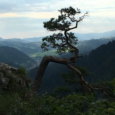 Domek Przy Szlaku * Krościenko